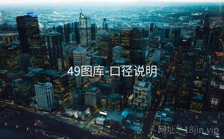 49图库-口径说明