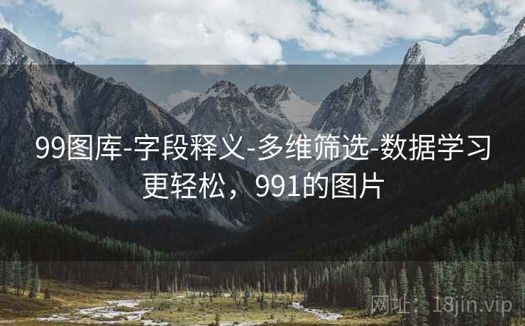 99图库-字段释义-多维筛选-数据学习更轻松，991的图片